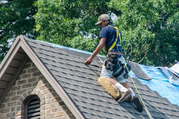 Quick and Trustworthy Emergency Roof Repair Services in Landrum, SC
